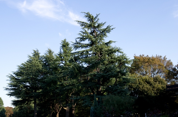 e0209854_21173590.jpg