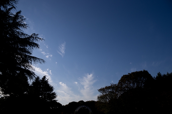 e0209854_21175046.jpg