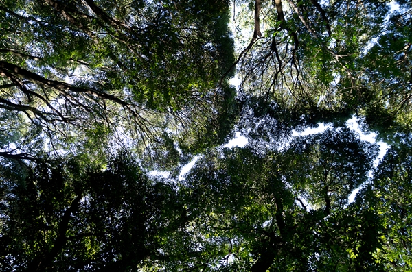 e0209854_21175593.jpg