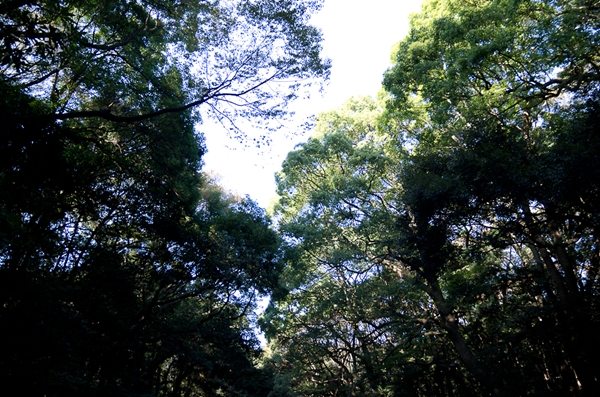 e0209854_21181442.jpg