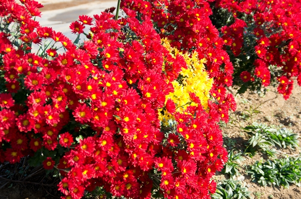 e0209854_212109.jpg