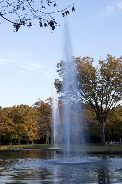 e0209854_21213630.jpg