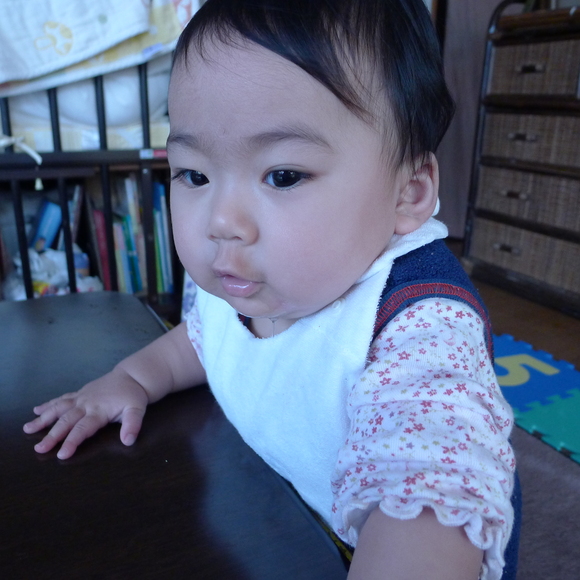 f0209354_1343044.jpg