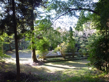 c0222861_2055536.jpg