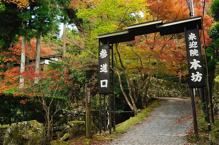 京都 来迎院 ~紅葉~_f0222161_15361026.jpg