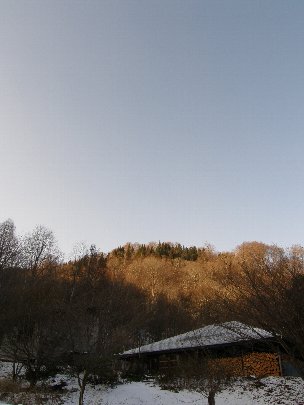 f0035962_85135.jpg