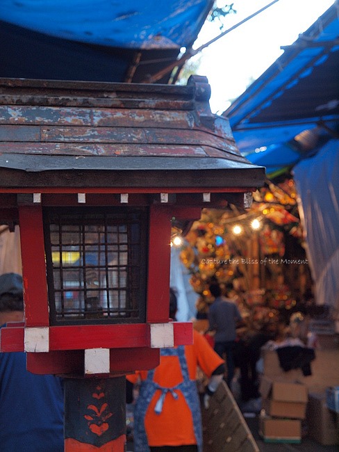 花園神社～新宿御苑散策_e0248566_117689.jpg