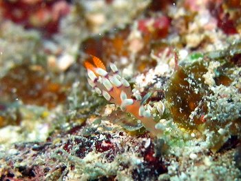 e0096370_202953.jpg