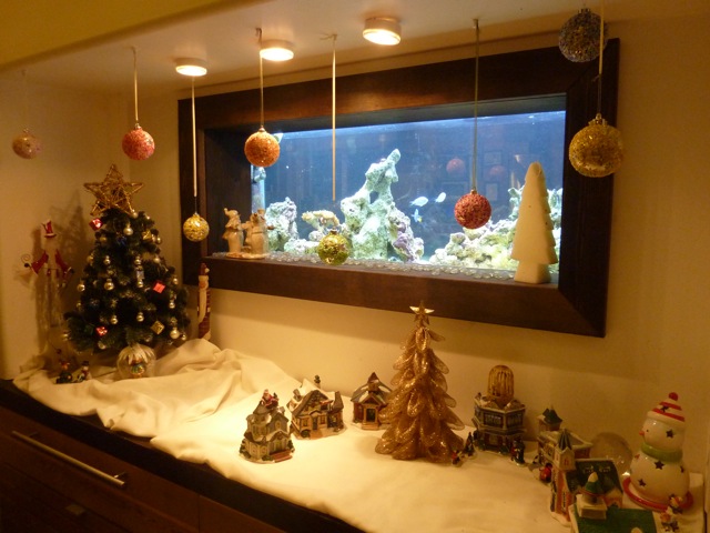 クリスマスツリーは生木が一番!_c0080075_1113237.jpg