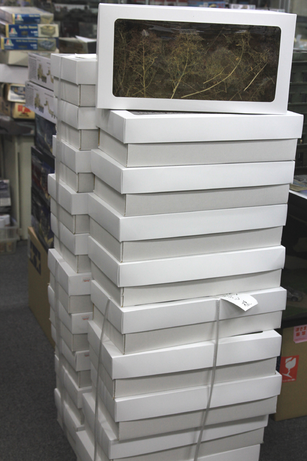入荷品のご案内_f0145483_1517833.jpg