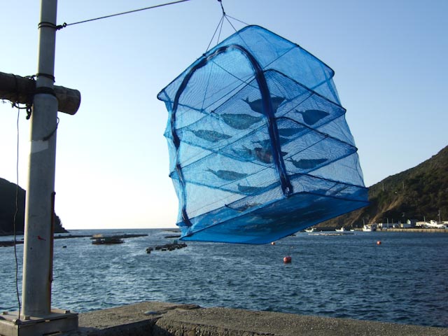 e0064291_21411181.jpg