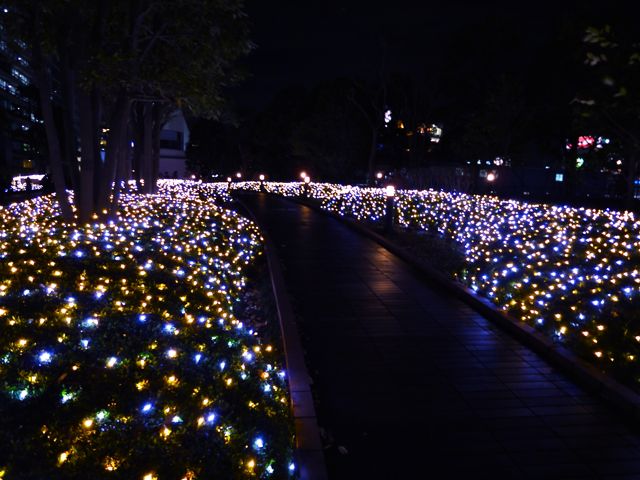 b0121693_0394589.jpg