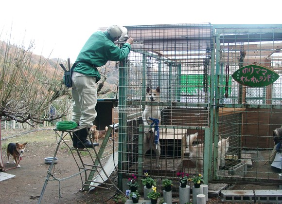 多頭飼育崩壊現場から　～２～_e0212095_23152480.jpg