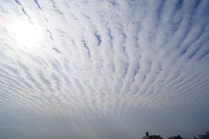 c0216700_14133553.jpg