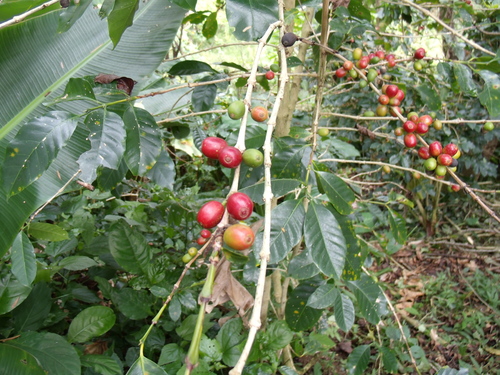 b0128901_1551177.jpg