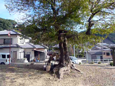 f0126903_950556.jpg