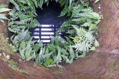 f0126903_95314.jpg