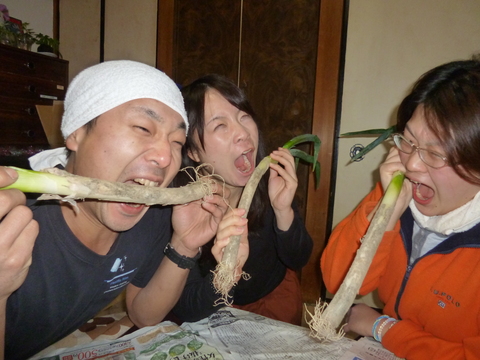 だいちゃんのネギ_a0080406_22144137.jpg