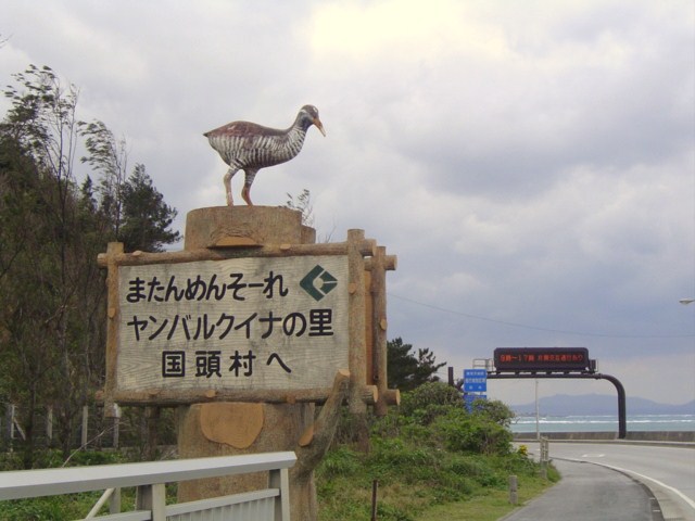 2012　南の島へ_b0246207_0364486.jpg