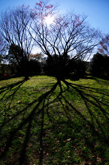 e0224413_22165710.jpg