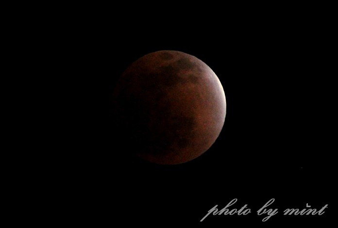 e0218518_20461440.jpg