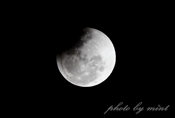 e0218518_20474628.jpg