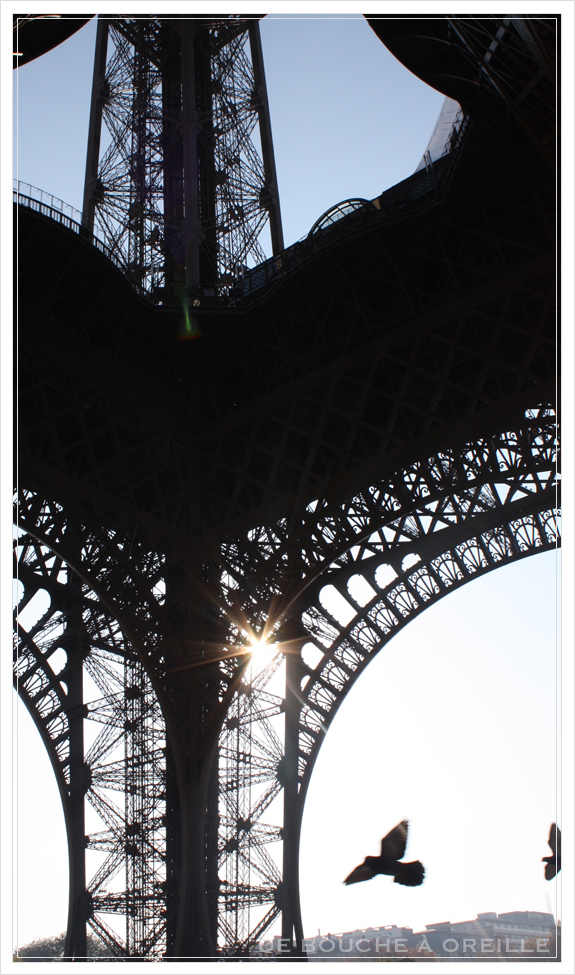 La tour Eiffel エッフェル塔_d0184921_1845143.jpg