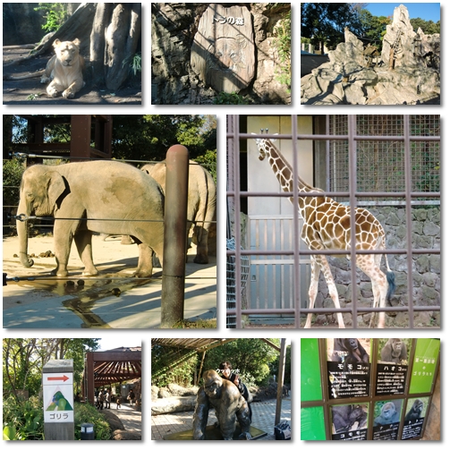 上野ＺＯＯ_b0119525_14334849.jpg