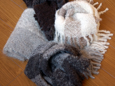 冬の贈りもの展から 1。_a0026127_22223884.jpg