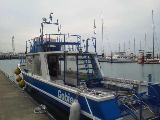d0224927_958364.jpg