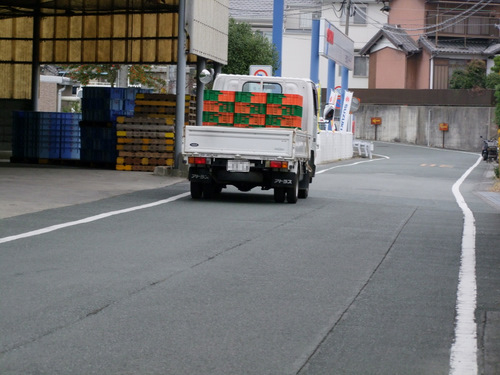 「静岡・三ケ日 三ケ日みかんオートメーション化と選定場」_a0000029_1203031.jpg