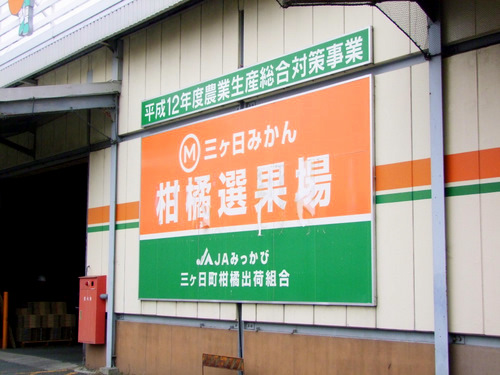 「静岡・三ケ日 三ケ日みかんオートメーション化と選定場」_a0000029_1261912.jpg
