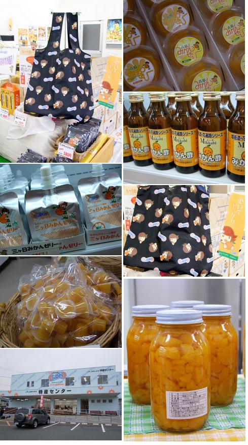 「静岡・三ケ日 三ケ日みかんオートメーション化と選定場」_a0000029_1455959.jpg