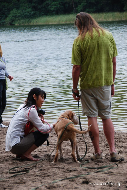 京子アルシャー「動物福祉&犬学」セミナー開催のお知らせ_c0099133_1351458.jpg