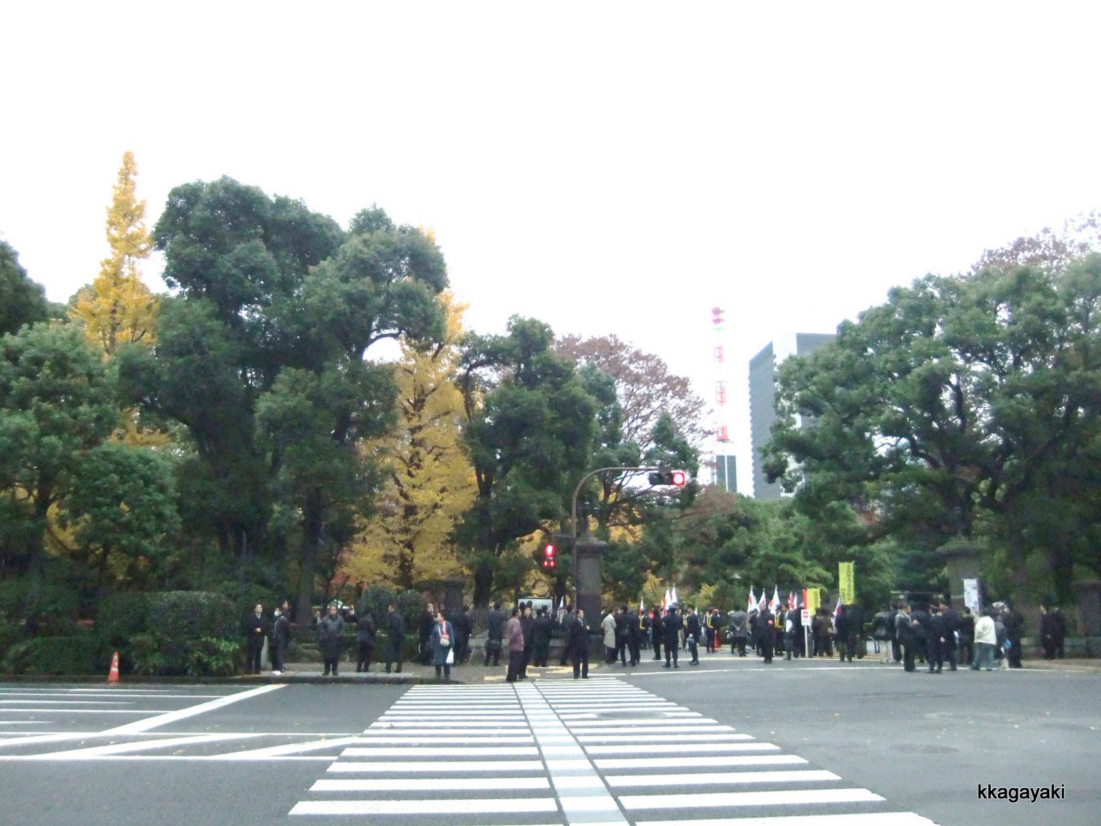 e0206242_1255072.jpg