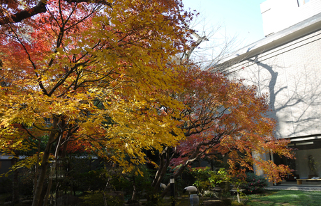 e0200353_1471327.jpg