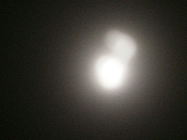 a0174458_826897.jpg