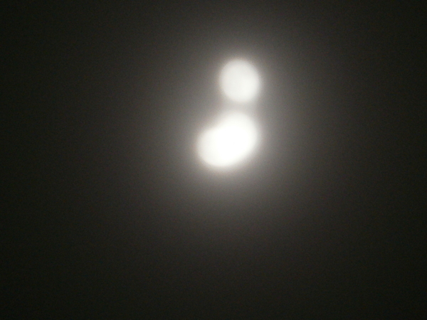 a0174458_8351733.jpg