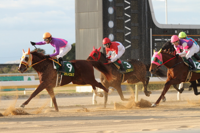 2011年12月1日（木） 荒尾競馬 10R JRA交流 第16回 たんぽぽ賞 九州産2歳オープン その1_a0077663_15205170.jpg