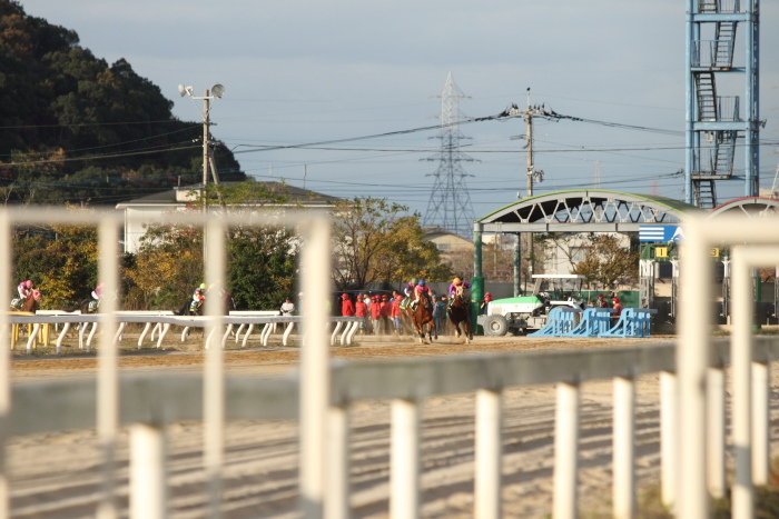 2011年12月1日（木） 荒尾競馬 10R JRA交流 第16回 たんぽぽ賞 九州産2歳オープン その1_a0077663_1521121.jpg