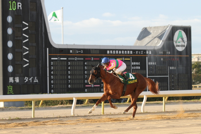 2011年12月1日（木） 荒尾競馬 10R JRA交流 第16回 たんぽぽ賞 九州産2歳オープン その1_a0077663_15214484.jpg