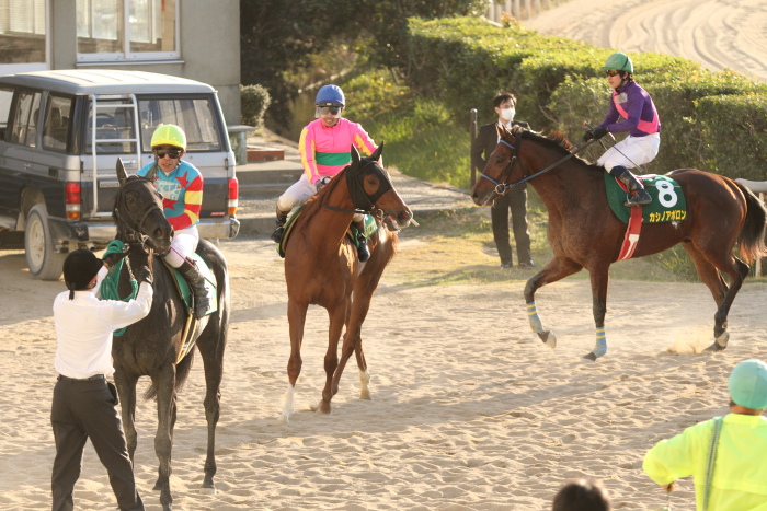 2011年12月1日（木） 荒尾競馬 10R JRA交流 第16回 たんぽぽ賞 九州産2歳オープン その2_a0077663_16382629.jpg