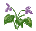 f0131263_1320495.gif