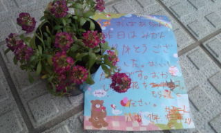 プチ便り(温かい事)_a0206870_10551787.jpg