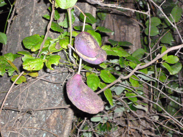 f0200477_0103080.jpg