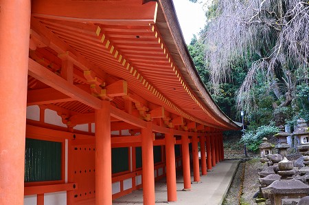 奈良公園　春日大社・新薬師寺　④_c0229483_830341.jpg