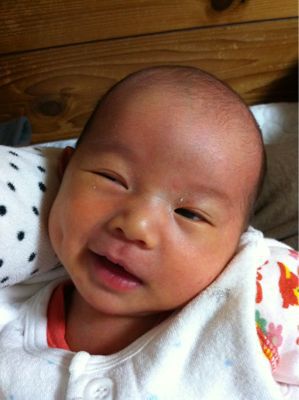 えくぼ ペッパー ソイ でこぼこコンビ