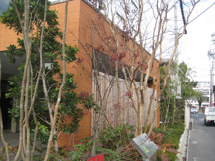 「musubiのカフェ」_a0233896_15565552.jpg