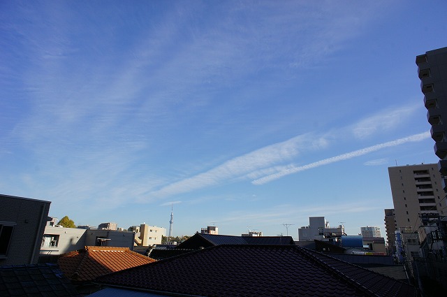 b0190603_17281240.jpg