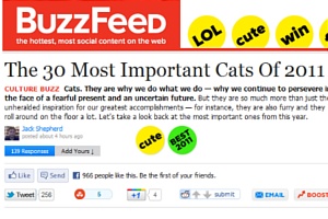 今年ソーシャル・メディア上で話題になった最も重要な30匹の猫ちゃん　The 30 Most Important Cats Of 2011_b0007805_13121853.jpg